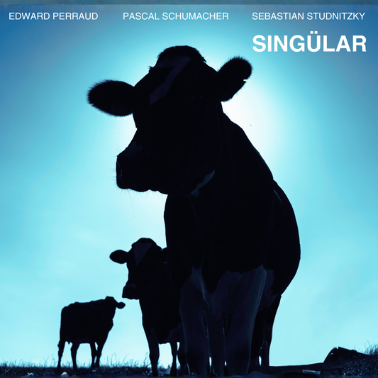 SINGÜLAR (Vinyl)